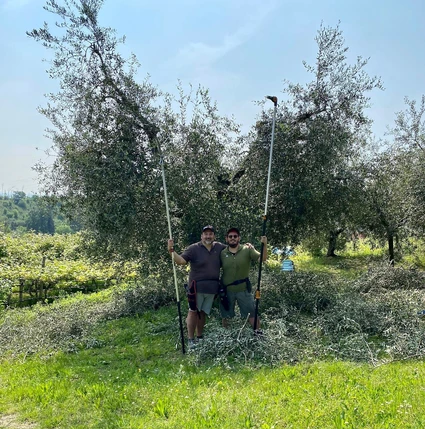 Degustazione Olio Extravergine del Garda: Tour Panoramico ed Esperienza Sensoriale 6 Degustazione Olio Extravergine del Garda: Tour Panoramico ed Esperienza Sensoriale 6